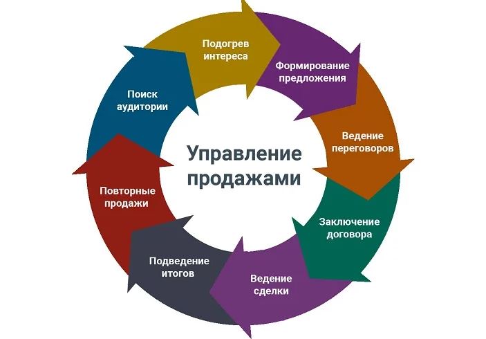 Каковы основные составляющие программы маркетинга проекта